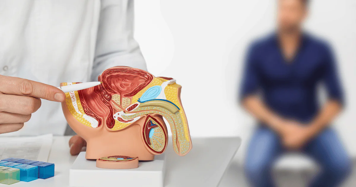 Podstawy ultrasonografii układu moczowego w praktyce urologa